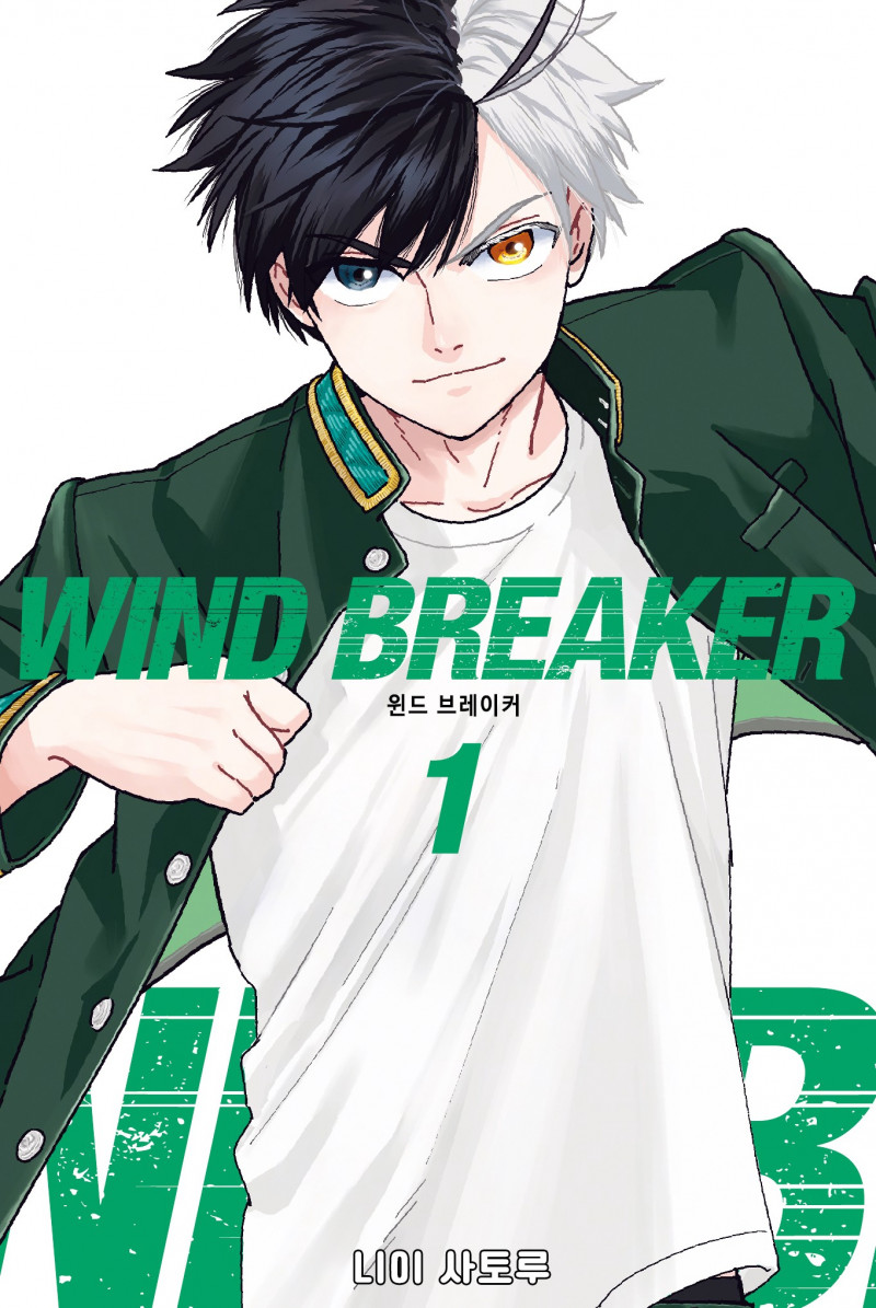 WIND BREAKER -윈드 브레이커-