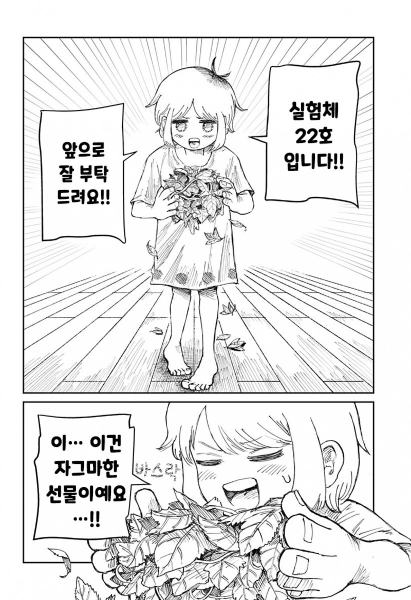 꽃밭의 엘레나