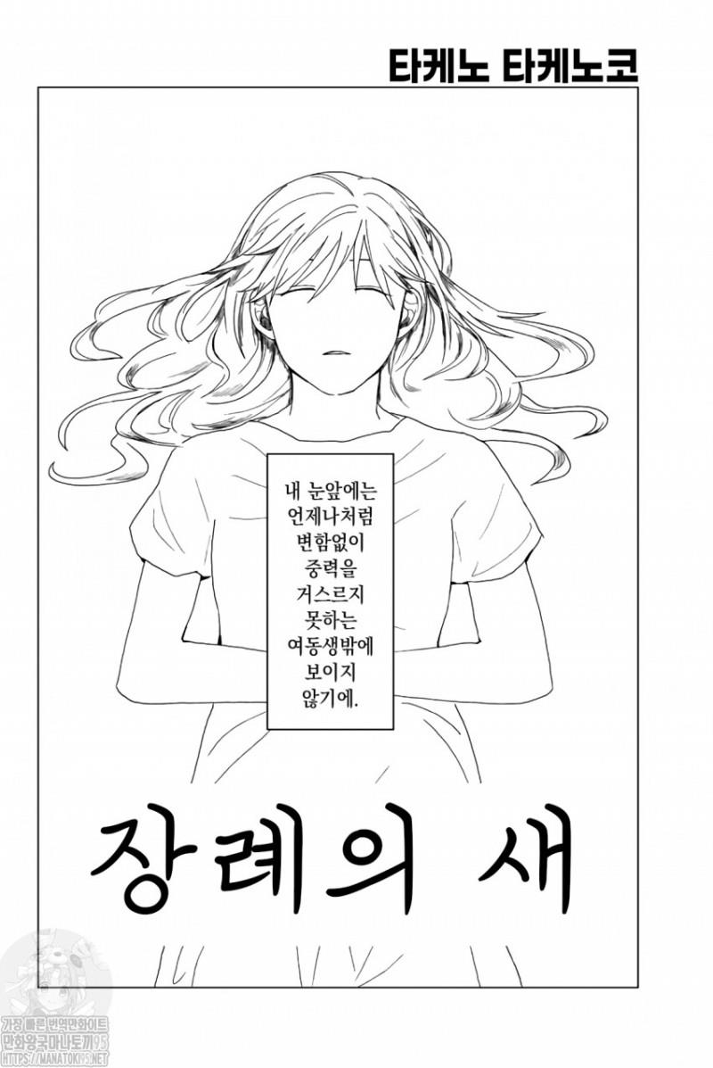 장례의 새