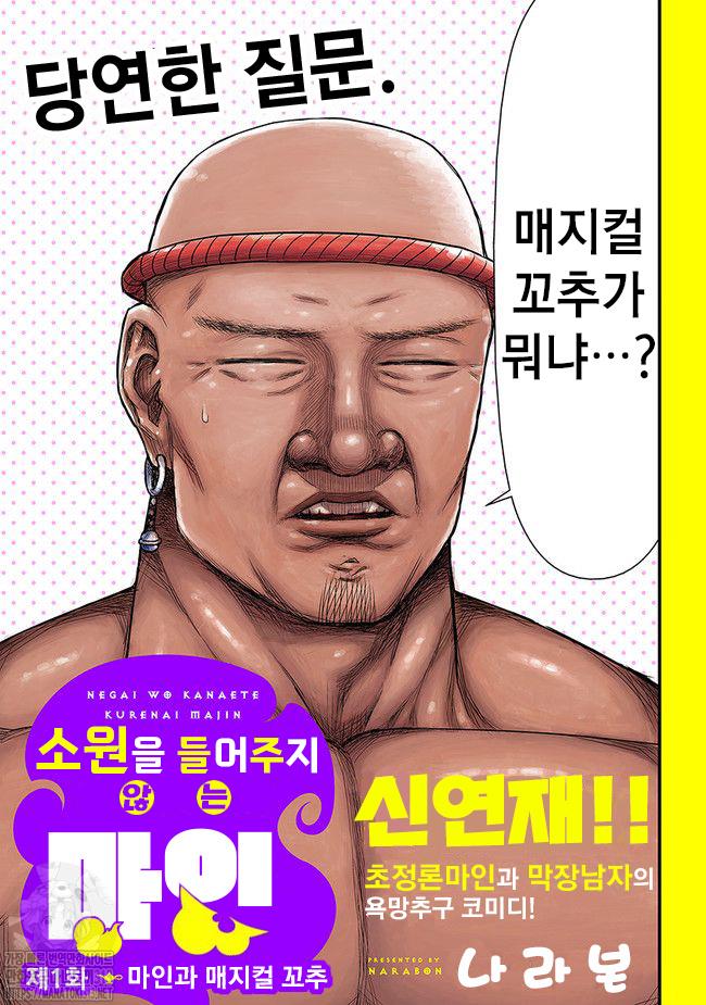 소원을 들어주지 않는 마인