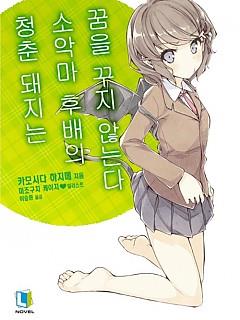 청춘돼지는 소악마 후배의 꿈을 꾸지 않는다